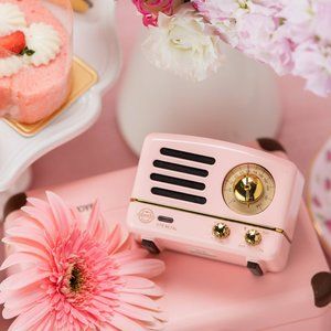 MUZEN OTR Mini Metal Portable FM Radio Bluetooth Speaker-Pink